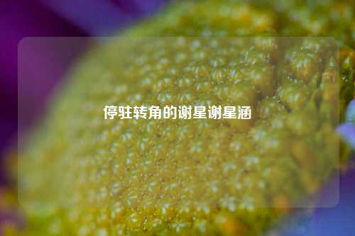 停驻转角的谢星谢星涵
