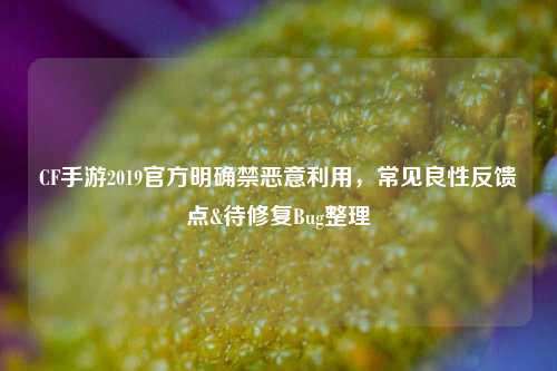 CF手游2019官方明确禁恶意利用，常见良性反馈点&待修复Bug整理