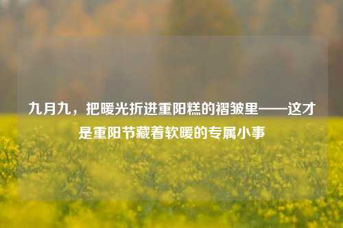 九月九,把暖光折进重阳糕的褶皱里——这才是重阳节藏着软暖的专属小事