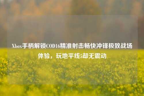 Xbox手柄解锁COD16精准射击畅快冲锋极致战场体验,玩地平线5却无震动