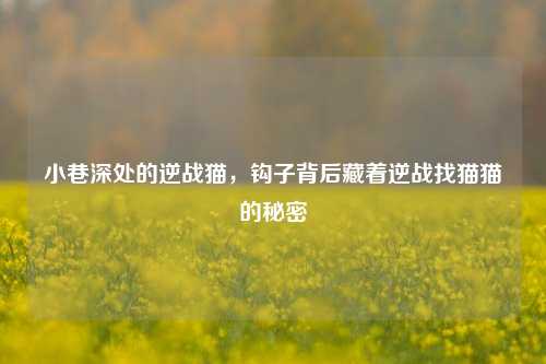 小巷深处的逆战猫，钩子背后藏着逆战找猫猫的秘密
