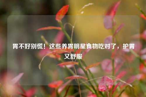 胃不好别慌！这些养胃明星食物吃对了，护胃又舒服