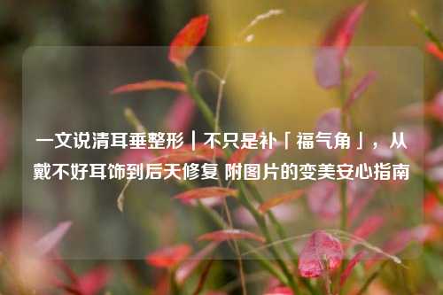 一文说清耳垂整形|不只是补「福气角」,从戴不好耳饰到后天修复 附图片的变美安心指南