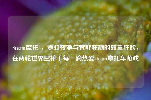 Steam摩托4，霓虹夜驰与荒野狂飙的双重狂欢，在两轮世界里榨干每一滴热爱steam摩托车游戏