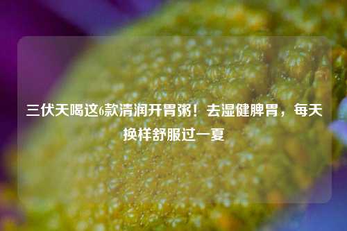 三伏天喝这6款清润开胃粥！去湿健脾胃，每天换样舒服过一夏