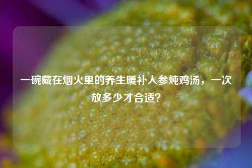 一碗藏在烟火里的养生暖补人参炖鸡汤，一次放多少才合适？