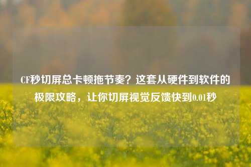 CF秒切屏总卡顿拖节奏?这套从硬件到软件的极限攻略,让你切屏视觉反馈快到0.01秒