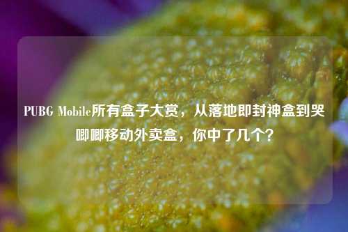 PUBG Mobile所有盒子大赏，从落地即封神盒到哭唧唧移动外卖盒，你中了几个？