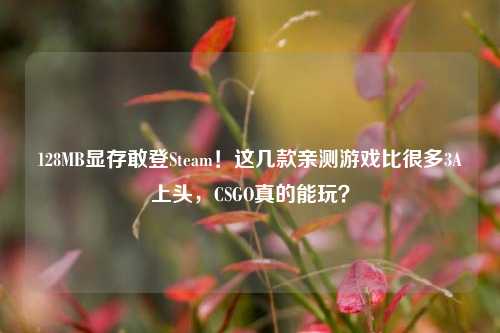 128MB显存敢登Steam！这几款亲测游戏比很多3A上头，CSGO真的能玩？