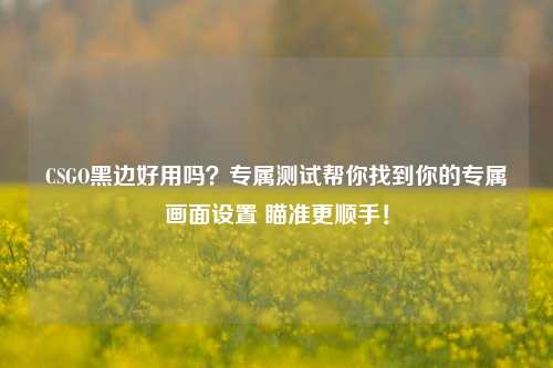 CSGO黑边好用吗?专属测试帮你找到你的专属画面设置 瞄准更顺手!