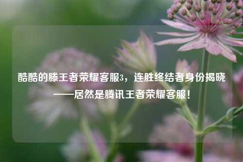酷酷的滕王者荣耀客服3,连胜终结者身份揭晓——居然是腾讯王者荣耀客服!
