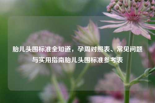 胎儿头围标准全知道,孕周对照表、常见问题与实用指南胎儿头围标准参考表