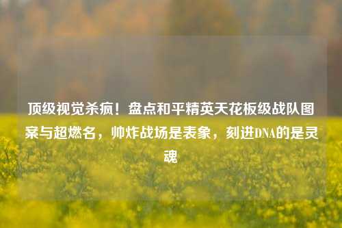 顶级视觉杀疯!盘点和平精英天花板级战队图案与超燃名,帅炸战场是表象,刻进DNA的是灵魂