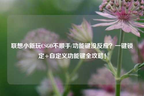 联想小新玩CSGO不顺手/功能键没反应?一键锁定+自定义功能键全攻略!