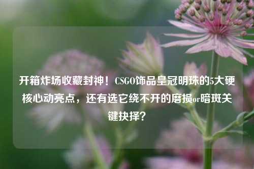 开箱炸场收藏封神！CSGO饰品皇冠明珠的5大硬核心动亮点，还有选它绕不开的磨损or暗斑关键抉择？