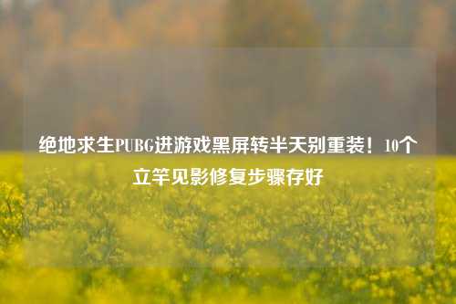 绝地求生PUBG进游戏黑屏转半天别重装!10个立竿见影修复步骤存好