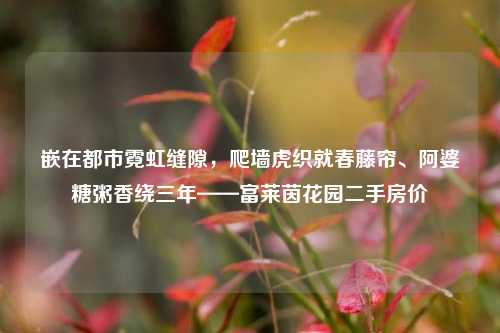 嵌在都市霓虹缝隙,爬墙虎织就春藤帘、阿婆糖粥香绕三年——富莱茵花园二手房价
