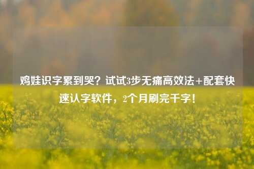 鸡娃识字累到哭?试试3步无痛高效法+配套快速认字软件,2个月刷完千字!