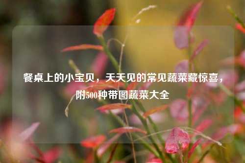 餐桌上的小宝贝,天天见的常见蔬菜藏惊喜,附500种带图蔬菜大全