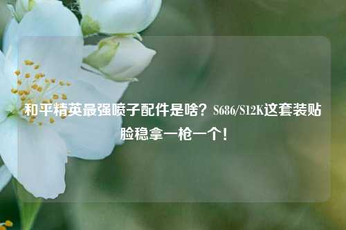 和平精英最强喷子配件是啥?S686/S12K这套装贴脸稳拿一枪一个!