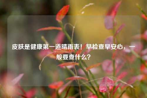皮肤是健康第一道晴雨表!早检查早安心,一般要查什么?