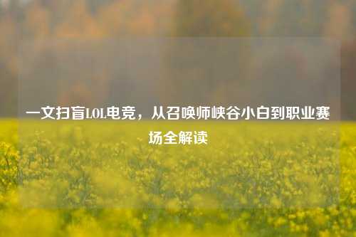 一文扫盲LOL电竞，从召唤师峡谷小白到职业赛场全解读