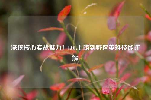 深挖核心实战魅力！LOL上路到野区英雄技能详解
