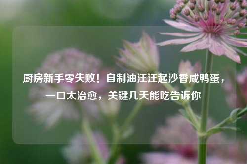 厨房新手零失败!自制油汪汪起沙香咸鸭蛋,一口太治愈,关键几天能吃告诉你