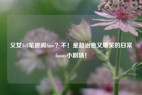 父女1v1笔趣阁funv？不！是超治愈又爆笑的日常funny小剧场！