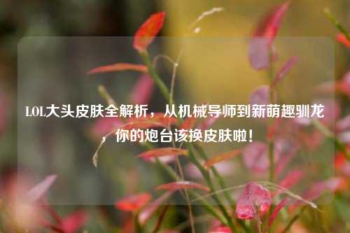 LOL大头皮肤全解析,从机械导师到新萌趣驯龙,你的炮台该换皮肤啦!