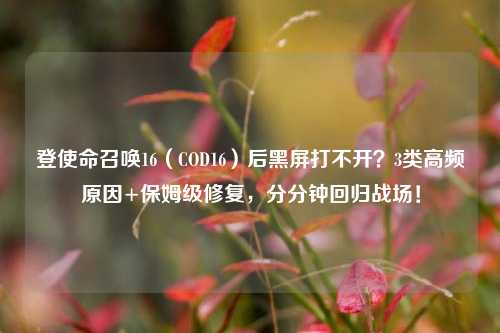 登使命召唤16（COD16）后黑屏打不开？3类高频原因+保姆级修复，分分钟回归战场！