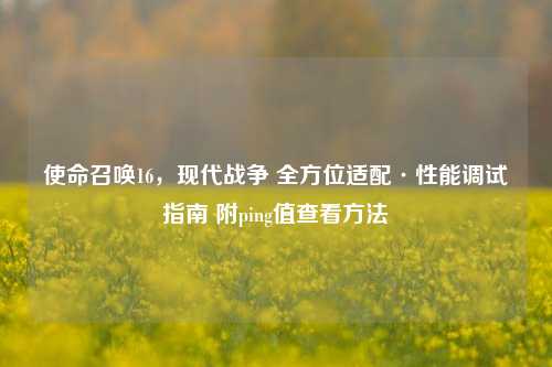使命召唤16，现代战争 全方位适配·性能调试指南 附ping值查看方法