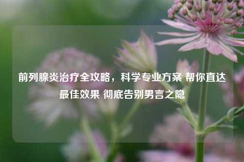 前列腺炎治疗全攻略，科学专业方案 帮你直达最佳效果 彻底告别男言之隐