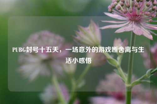 PUBG封号十五天，一场意外的游戏断舍离与生活小感悟