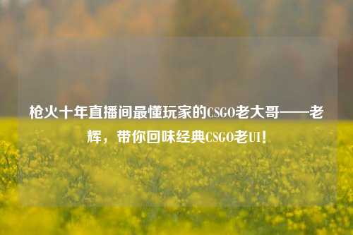枪火十年直播间最懂玩家的CSGO老大哥——老辉,带你回味经典CSGO老UI!