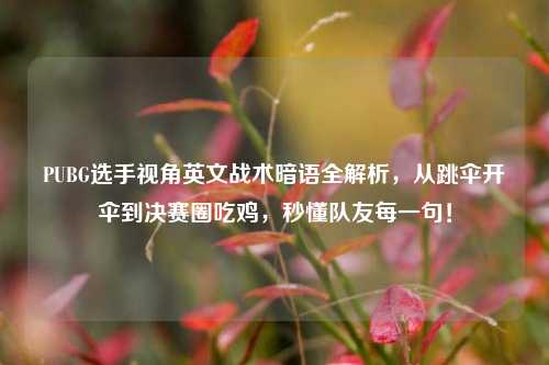 PUBG选手视角英文战术暗语全解析,从跳伞开伞到决赛圈吃鸡,秒懂队友每一句!