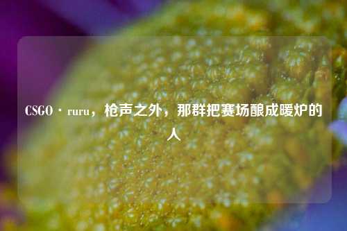 CSGO·ruru,枪声之外,那群把赛场酿成暖炉的人