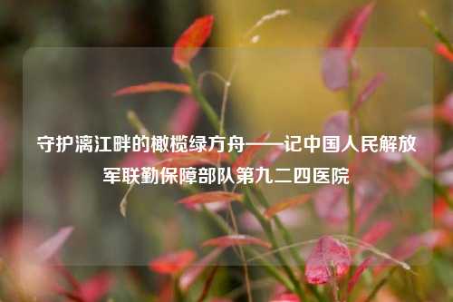 守护漓江畔的橄榄绿方舟——记中国人民解放军联勤保障部队第九二四医院