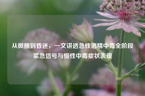 从微醺到昏迷,一文讲透急性酒精中毒全阶段紧急信号与慢性中毒症状表现