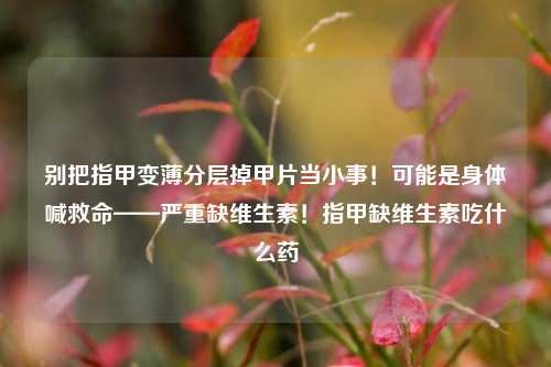 别把指甲变薄分层掉甲片当小事!可能是身体喊救命——严重缺维生素!指甲缺维生素吃什么药