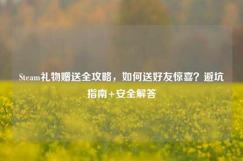 Steam礼物赠送全攻略,如何送好友惊喜?避坑指南+安全解答