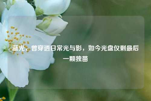 蓝光，曾穿透日常光与影，如今光盘仅剩最后一颗独苗