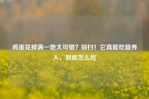 鸡蛋花掉满一地太可惜？别扫！它真能吃超养人，到底怎么吃