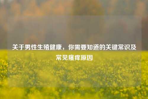 关于男性生殖健康,你需要知道的关键常识及常见瘙痒原因