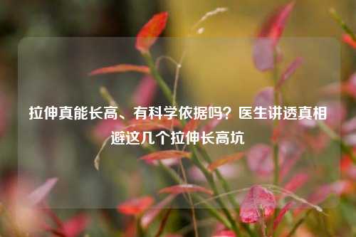 拉伸真能长高、有科学依据吗?医生讲透真相避这几个拉伸长高坑