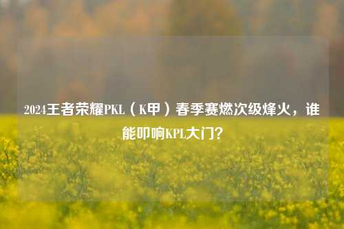2024王者荣耀PKL(K甲)春季赛燃次级烽火,谁能叩响KPL大门?