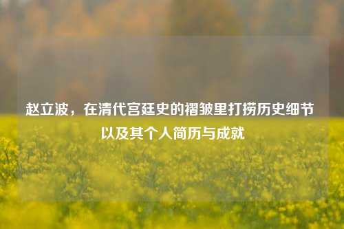 赵立波,在清代宫廷史的褶皱里打捞历史细节 以及其个人简历与成就