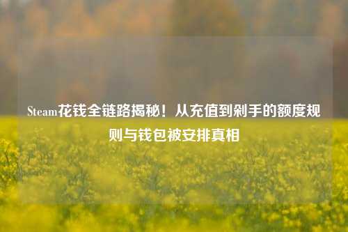 Steam花钱全链路揭秘！从充值到剁手的额度规则与钱包被安排真相