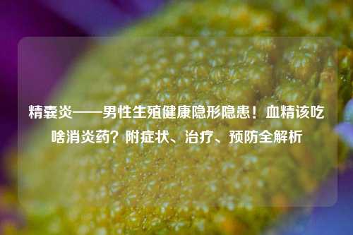 精囊炎——男性生殖健康隐形隐患!血精该吃啥消炎药?附症状、治疗、预防全解析
