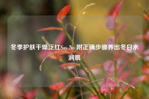 冬季护肤干燥泛红Say No 附正确步骤养出冬日水润肌